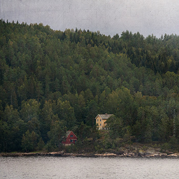 Норвежский лес